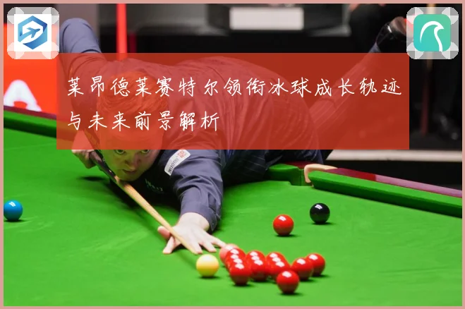 莱昂德莱赛特尔领衔冰球成长轨迹与未来前景解析